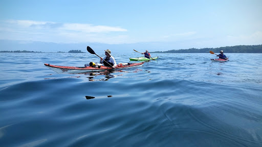 ﻿Maine Association of Sea Kayak Guides and Instructors