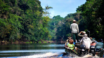 Exploring the Wonders of the Amazon Rainforest