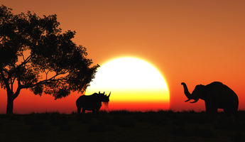Safaris: A Guide to Wildlife Adventure in Africa