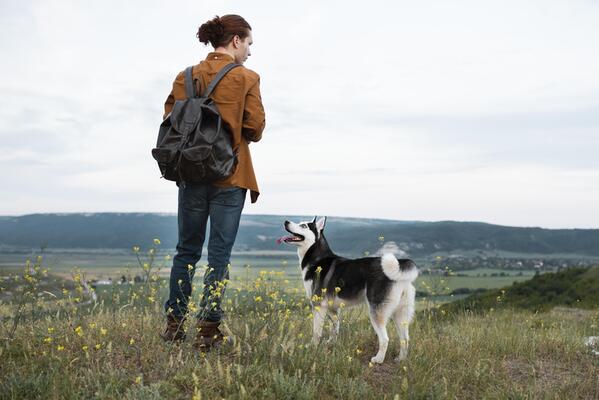 Exploring the Outdoors with Your Dog: Tips and Advice