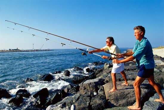 Surf Fishing: Tips and Techniques for Anglers